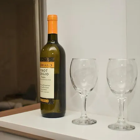 Ramonda - In Center Dorcol Apartment Belgrade